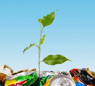 Сколько мусора производит один человек?